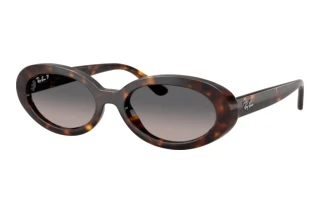 Vue de face Ray-Ban RB2223 (902/M3)