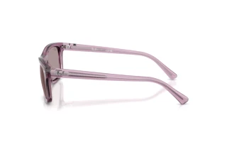 Vue latérale Ray-Ban RB2226 (684753)