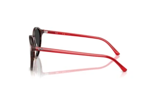 Vue latérale Ray-Ban BERNARD (RB2230 - 141948)