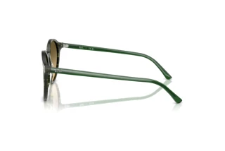 Vue latérale Ray-Ban BERNARD (RB2230 - 14210A)