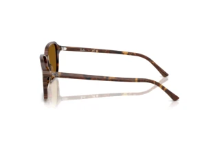 Vue latérale Ray-Ban RAIMOND (RB2231 - 141833)