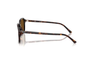 Vue latérale Ray-Ban RAIMOND (RB2231 - 902/57)