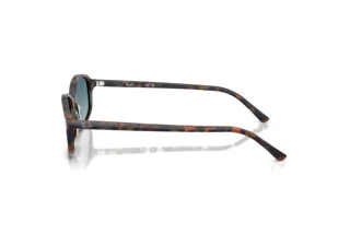 Vue latérale Ray-Ban RB2232 (13563M)
