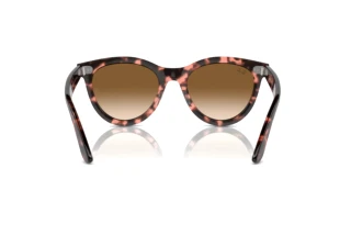 Vue arrière Ray-Ban WAYFARER WAY (RB2241 - 133451)