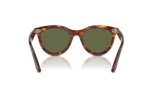 Vue arrière Ray-Ban WAYFARER WAY (RB2241 - 954/58)