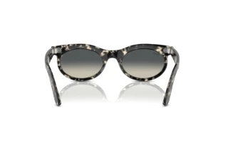 Vue arrière Ray-Ban WAYFARER OVAL (RB2242 - 133371)