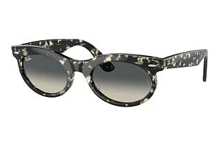 Ray-Ban RB2242 133371 GreyGrey Havana