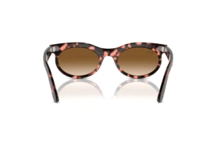 Vue arrière Ray-Ban WAYFARER OVAL (RB2242 - 133451)