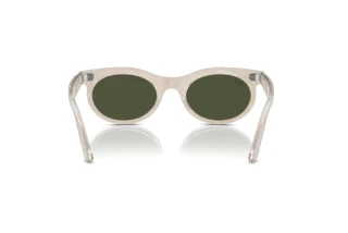 Vue arrière Ray-Ban WAYFARER OVAL (RB2242 - 138331)