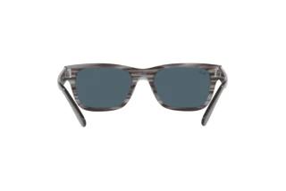 Vue arrière Ray-Ban MR BURBANK (RB2283 - 1314R5)