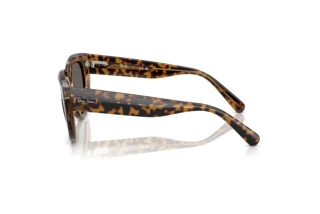 Vue latérale Ray-Ban DOREEN (RB2286 - 1292B1)