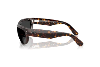 Vue latérale Ray-Ban MEGA BALORAMA (RB2289 - 902/48)