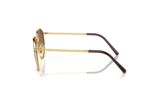 Vue latérale Ray-Ban NEW ROUND (RB3637 - 001/51)