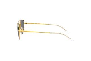 Vue latérale Ray-Ban RB3668 (905487)