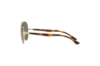 Vue latérale Ray-Ban RB3675 (001/58)