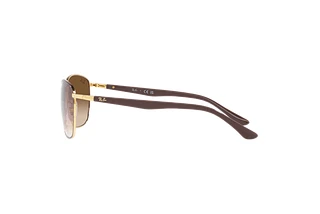 Vue latérale Ray-Ban RB3702 (900951)
