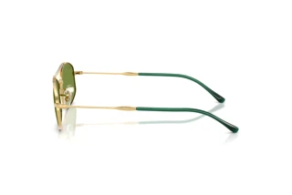 Vue latérale Ray-Ban RB3719 (001/4E)