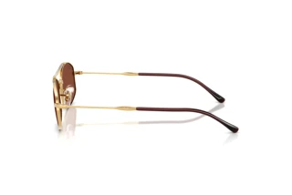 Vue latérale Ray-Ban RB3719 (001/C5)