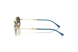 Vue latérale Ray-Ban RB3719 (9278R5)