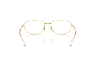 Vue arrière Ray-Ban RB3732 (001/GJ)