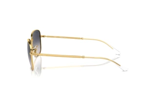 Vue latérale Ray-Ban RB3733 (001/78)