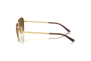 Vue latérale Ray-Ban RB3733 (001/M2)