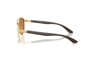 Vue latérale Ray-Ban RB3736CH (001/I0)