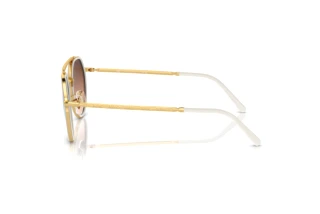 Vue latérale Ray-Ban RB3765 (001/4O)