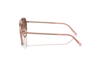 Vue latérale Ray-Ban RB3765 (9069A5)