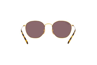 Vue arrière Ray-Ban ROB (RB3772 - 001/AF)