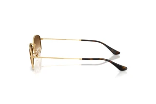 Vue latérale Ray-Ban RB3832 (001/51)