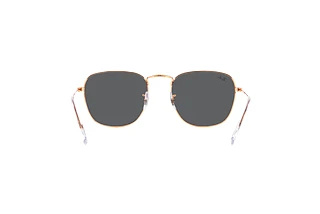 Vue arrière Ray-Ban FRANK (RB3857 - 9202B1)