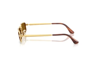 Vue latérale Ray-Ban RB3927 (001/33)