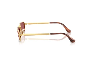 Vue latérale Ray-Ban RB3927 (001/AF)