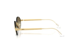 Vue latérale Ray-Ban RB3929 (001/7I)