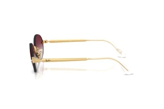 Vue latérale Ray-Ban RB3929 (001/8H)