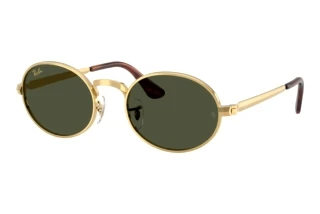 Vue de face Ray-Ban RB3931 (001/31)