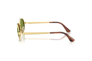 Vue latérale Ray-Ban RB3931 (001/4E)