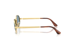 Vue latérale Ray-Ban RB3931 (001/56)