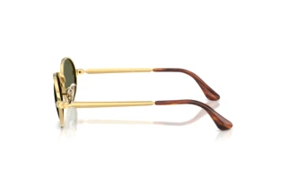 Vue latérale Ray-Ban RB3931 (001/58)