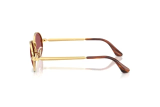 Vue latérale Ray-Ban RB3931 (001/AF)