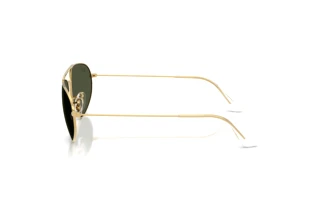 Vue latérale Ray-Ban RB3945 (919631)