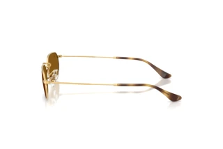 Vue latérale Ray-Ban RB3947 (001/33)