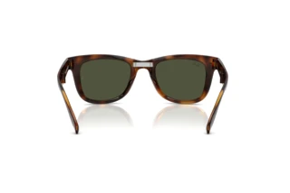 Vue arrière Ray-Ban FOLDING WAYFARER (RB4105 - 710/31)