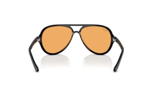 Vue arrière Ray-Ban CATS 5000 (RB4125 - 601/33)