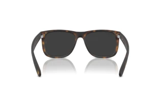 Vue arrière Ray-Ban JUSTIN (RB4165 - 865/87)