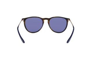 Vue arrière Ray-Ban ERIKA (RB4171 - 639276)