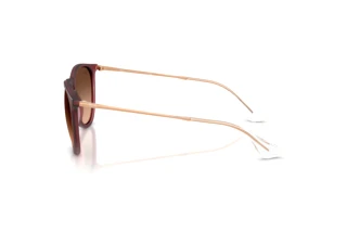 Vue latérale Ray-Ban ERIKA (RB4171 - 6815A5)