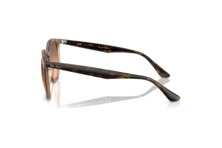 Vue latérale Ray-Ban RB4306 (678846)