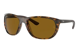 Vue de face Ray-Ban RB4307 (710/83)